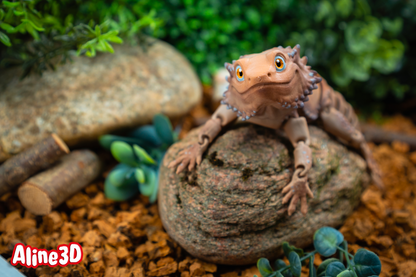 Bearded Dragon Fidget Animal