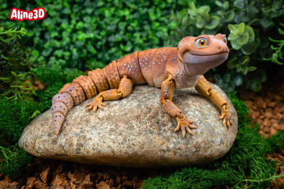 Leopard Gecko Fidget Animal