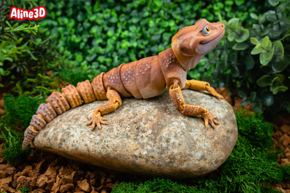 Leopard Gecko Fidget Animal