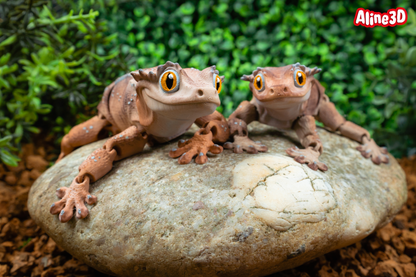 Crested Eyelash Gecko Fidget Animal